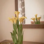 Grenada Сонячний Берег